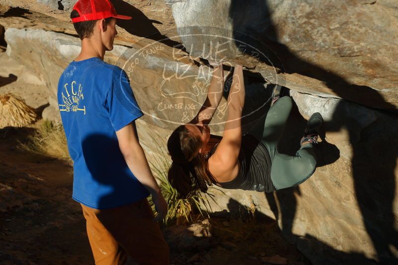 Bouldering in Hueco Tanks on 01/05/2020 with Blue Lizard Climbing and Yoga

Filename: SRM_20200105_1707080.jpg
Aperture: f/4.5
Shutter Speed: 1/640
Body: Canon EOS-1D Mark II
Lens: Canon EF 50mm f/1.8 II