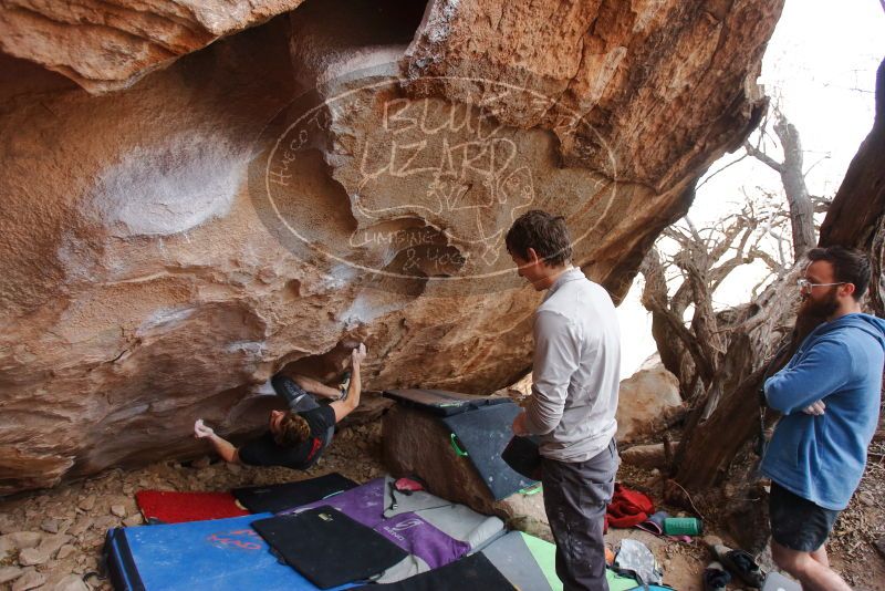 Bouldering in Hueco Tanks on 01/04/2020 with Blue Lizard Climbing and Yoga

Filename: SRM_20200104_1241460.jpg
Aperture: f/4.0
Shutter Speed: 1/250
Body: Canon EOS-1D Mark II
Lens: Canon EF 16-35mm f/2.8 L