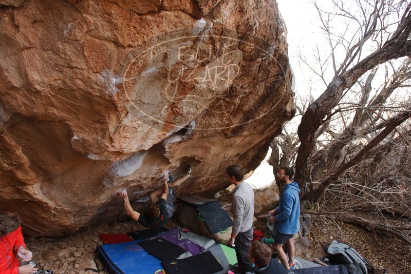 Bouldering in Hueco Tanks on 01/04/2020 with Blue Lizard Climbing and Yoga

Filename: SRM_20200104_1242330.jpg
Aperture: f/5.6
Shutter Speed: 1/250
Body: Canon EOS-1D Mark II
Lens: Canon EF 16-35mm f/2.8 L