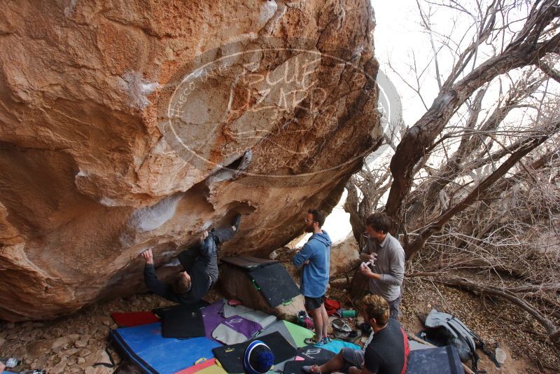 Bouldering in Hueco Tanks on 01/04/2020 with Blue Lizard Climbing and Yoga

Filename: SRM_20200104_1243480.jpg
Aperture: f/5.0
Shutter Speed: 1/250
Body: Canon EOS-1D Mark II
Lens: Canon EF 16-35mm f/2.8 L