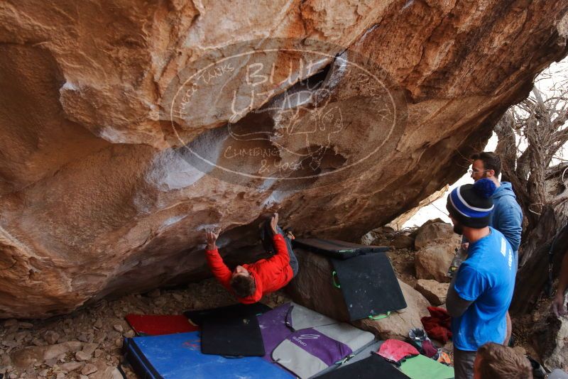 Bouldering in Hueco Tanks on 01/04/2020 with Blue Lizard Climbing and Yoga

Filename: SRM_20200104_1246020.jpg
Aperture: f/5.0
Shutter Speed: 1/250
Body: Canon EOS-1D Mark II
Lens: Canon EF 16-35mm f/2.8 L