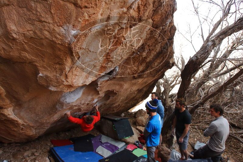 Bouldering in Hueco Tanks on 01/04/2020 with Blue Lizard Climbing and Yoga

Filename: SRM_20200104_1246140.jpg
Aperture: f/5.6
Shutter Speed: 1/250
Body: Canon EOS-1D Mark II
Lens: Canon EF 16-35mm f/2.8 L