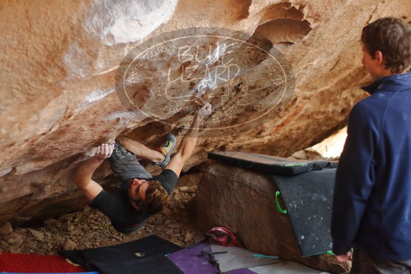 Bouldering in Hueco Tanks on 01/04/2020 with Blue Lizard Climbing and Yoga

Filename: SRM_20200104_1300090.jpg
Aperture: f/2.2
Shutter Speed: 1/250
Body: Canon EOS-1D Mark II
Lens: Canon EF 50mm f/1.8 II