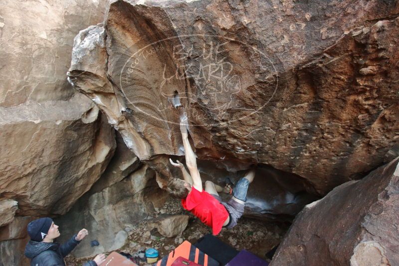 Bouldering in Hueco Tanks on 01/04/2020 with Blue Lizard Climbing and Yoga

Filename: SRM_20200104_1526170.jpg
Aperture: f/4.0
Shutter Speed: 1/200
Body: Canon EOS-1D Mark II
Lens: Canon EF 16-35mm f/2.8 L