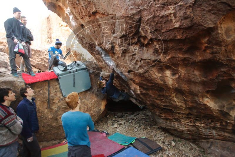 Bouldering in Hueco Tanks on 01/04/2020 with Blue Lizard Climbing and Yoga

Filename: SRM_20200104_1551520.jpg
Aperture: f/3.5
Shutter Speed: 1/200
Body: Canon EOS-1D Mark II
Lens: Canon EF 16-35mm f/2.8 L