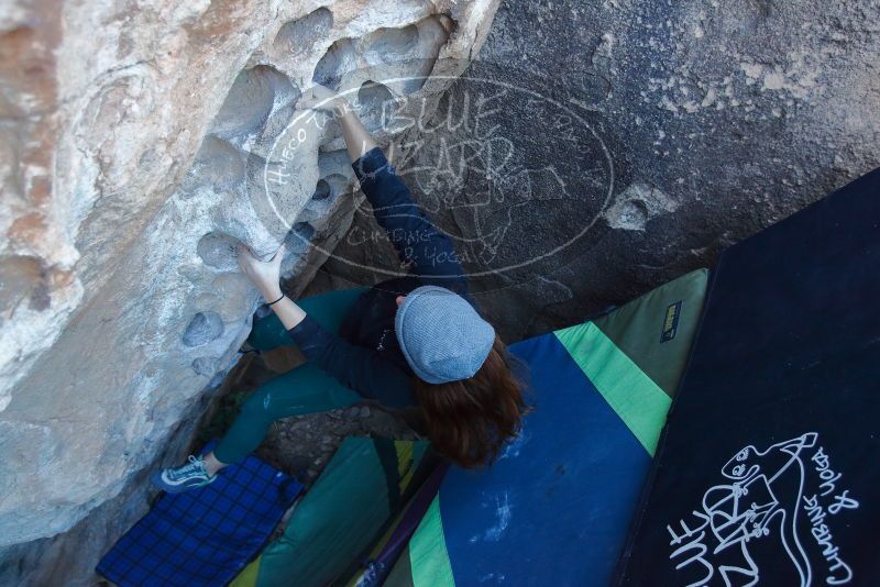 Bouldering in Hueco Tanks on 01/08/2020 with Blue Lizard Climbing and Yoga

Filename: SRM_20200108_1036200.jpg
Aperture: f/3.5
Shutter Speed: 1/250
Body: Canon EOS-1D Mark II
Lens: Canon EF 16-35mm f/2.8 L