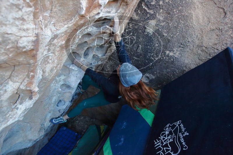 Bouldering in Hueco Tanks on 01/08/2020 with Blue Lizard Climbing and Yoga

Filename: SRM_20200108_1036260.jpg
Aperture: f/4.0
Shutter Speed: 1/250
Body: Canon EOS-1D Mark II
Lens: Canon EF 16-35mm f/2.8 L