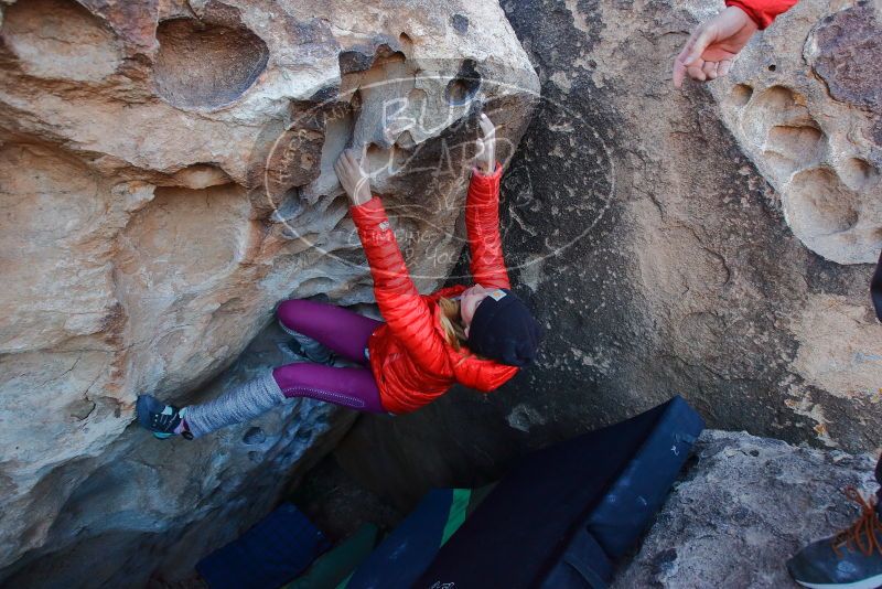 Bouldering in Hueco Tanks on 01/08/2020 with Blue Lizard Climbing and Yoga

Filename: SRM_20200108_1038500.jpg
Aperture: f/5.6
Shutter Speed: 1/250
Body: Canon EOS-1D Mark II
Lens: Canon EF 16-35mm f/2.8 L