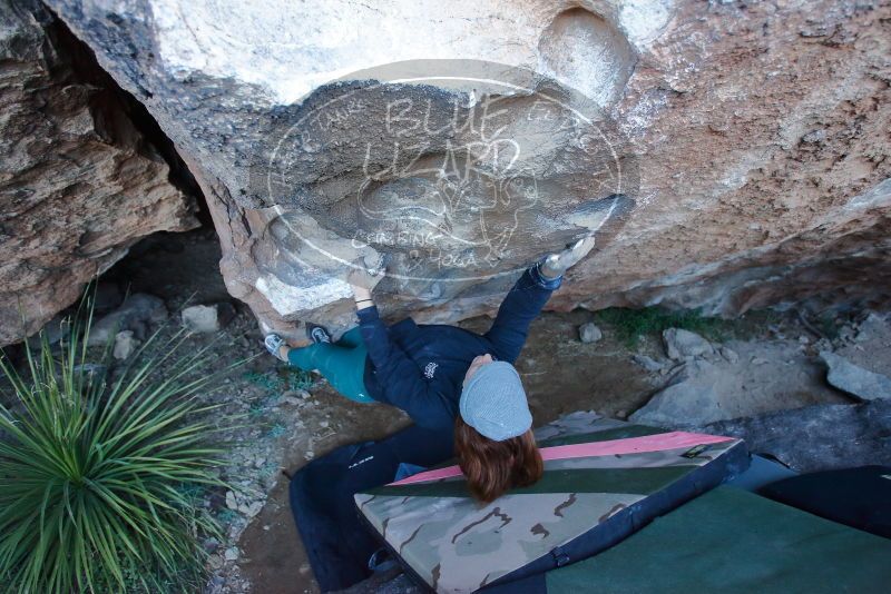 Bouldering in Hueco Tanks on 01/08/2020 with Blue Lizard Climbing and Yoga

Filename: SRM_20200108_1046190.jpg
Aperture: f/3.2
Shutter Speed: 1/250
Body: Canon EOS-1D Mark II
Lens: Canon EF 16-35mm f/2.8 L