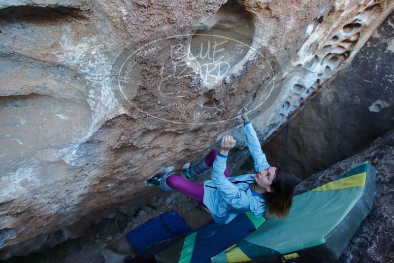 Bouldering in Hueco Tanks on 01/08/2020 with Blue Lizard Climbing and Yoga

Filename: SRM_20200108_1050550.jpg
Aperture: f/4.5
Shutter Speed: 1/250
Body: Canon EOS-1D Mark II
Lens: Canon EF 16-35mm f/2.8 L