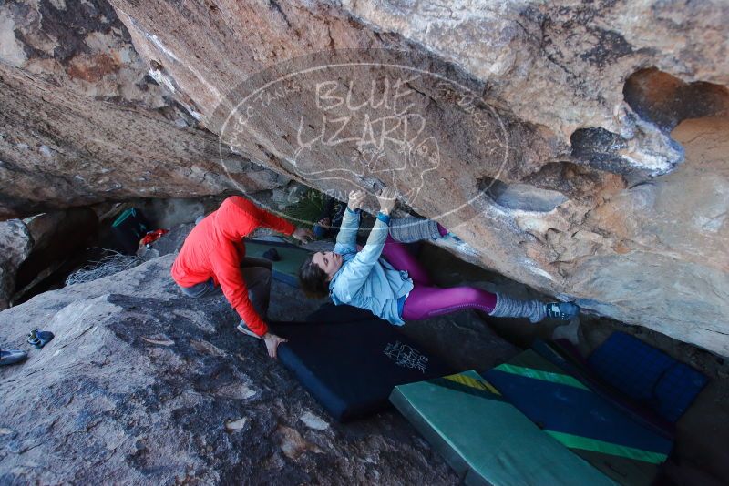 Bouldering in Hueco Tanks on 01/08/2020 with Blue Lizard Climbing and Yoga

Filename: SRM_20200108_1051260.jpg
Aperture: f/5.6
Shutter Speed: 1/250
Body: Canon EOS-1D Mark II
Lens: Canon EF 16-35mm f/2.8 L