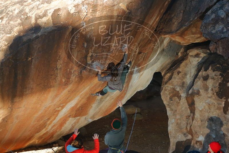 Bouldering in Hueco Tanks on 01/08/2020 with Blue Lizard Climbing and Yoga

Filename: SRM_20200108_1143430.jpg
Aperture: f/5.6
Shutter Speed: 1/250
Body: Canon EOS-1D Mark II
Lens: Canon EF 50mm f/1.8 II