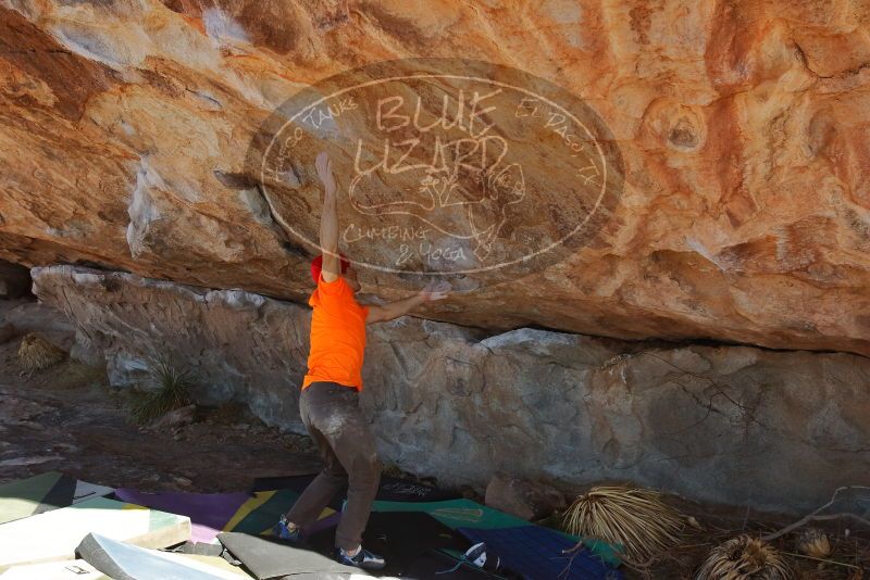 Bouldering in Hueco Tanks on 01/08/2020 with Blue Lizard Climbing and Yoga

Filename: SRM_20200108_1316170.jpg
Aperture: f/8.0
Shutter Speed: 1/500
Body: Canon EOS-1D Mark II
Lens: Canon EF 16-35mm f/2.8 L