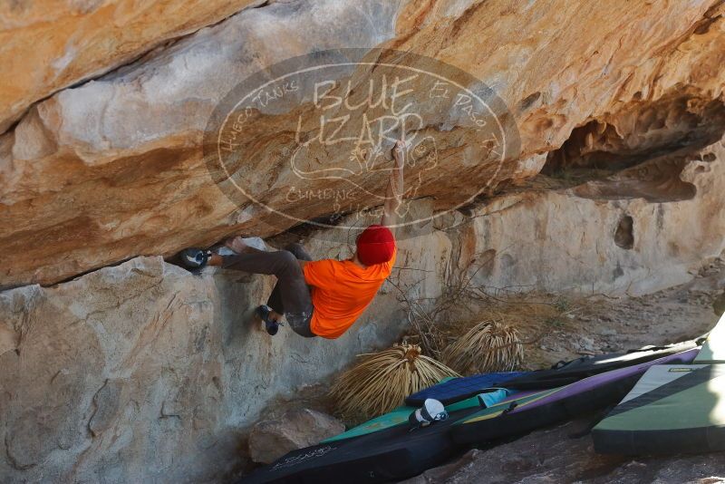 Bouldering in Hueco Tanks on 01/08/2020 with Blue Lizard Climbing and Yoga

Filename: SRM_20200108_1321260.jpg
Aperture: f/5.6
Shutter Speed: 1/500
Body: Canon EOS-1D Mark II
Lens: Canon EF 50mm f/1.8 II
