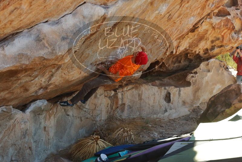 Bouldering in Hueco Tanks on 01/08/2020 with Blue Lizard Climbing and Yoga

Filename: SRM_20200108_1321350.jpg
Aperture: f/7.1
Shutter Speed: 1/500
Body: Canon EOS-1D Mark II
Lens: Canon EF 50mm f/1.8 II