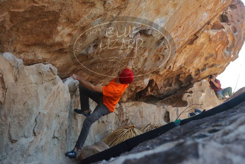 Bouldering in Hueco Tanks on 01/08/2020 with Blue Lizard Climbing and Yoga

Filename: SRM_20200108_1326190.jpg
Aperture: f/5.6
Shutter Speed: 1/500
Body: Canon EOS-1D Mark II
Lens: Canon EF 50mm f/1.8 II