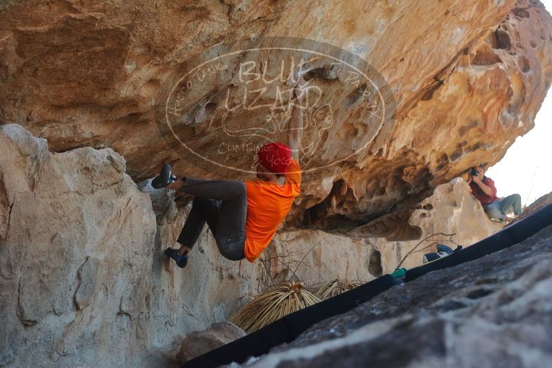 Bouldering in Hueco Tanks on 01/08/2020 with Blue Lizard Climbing and Yoga

Filename: SRM_20200108_1326210.jpg
Aperture: f/6.3
Shutter Speed: 1/500
Body: Canon EOS-1D Mark II
Lens: Canon EF 50mm f/1.8 II