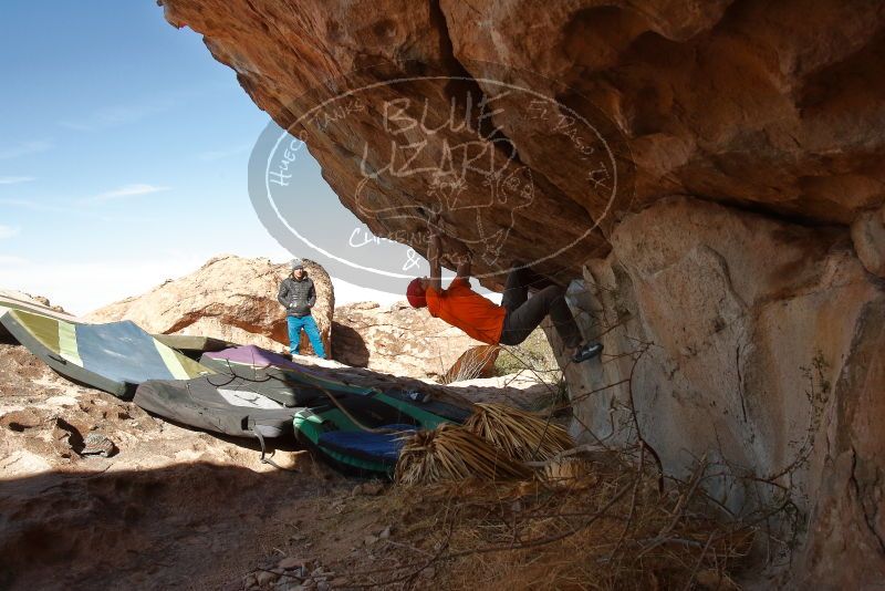 Bouldering in Hueco Tanks on 01/08/2020 with Blue Lizard Climbing and Yoga

Filename: SRM_20200108_1331410.jpg
Aperture: f/8.0
Shutter Speed: 1/500
Body: Canon EOS-1D Mark II
Lens: Canon EF 16-35mm f/2.8 L