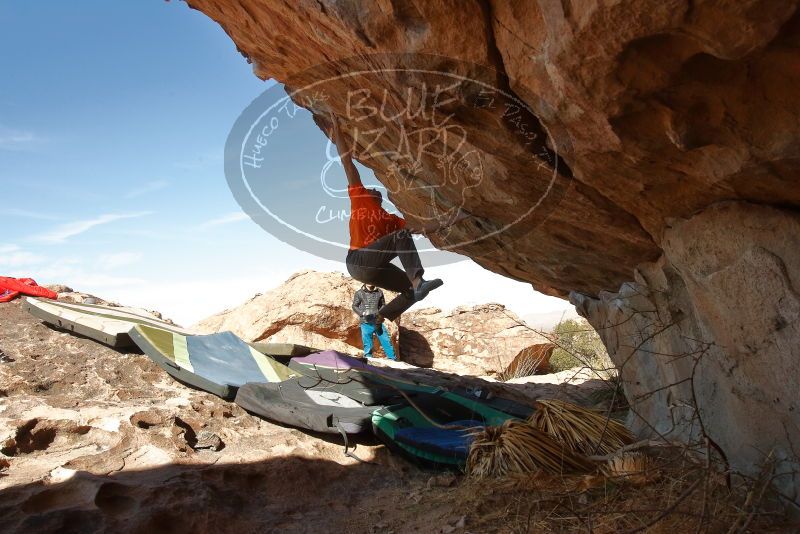 Bouldering in Hueco Tanks on 01/08/2020 with Blue Lizard Climbing and Yoga

Filename: SRM_20200108_1331492.jpg
Aperture: f/8.0
Shutter Speed: 1/500
Body: Canon EOS-1D Mark II
Lens: Canon EF 16-35mm f/2.8 L