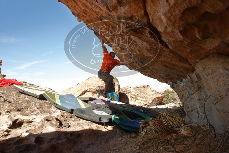 Bouldering in Hueco Tanks on 01/08/2020 with Blue Lizard Climbing and Yoga

Filename: SRM_20200108_1331500.jpg
Aperture: f/8.0
Shutter Speed: 1/500
Body: Canon EOS-1D Mark II
Lens: Canon EF 16-35mm f/2.8 L