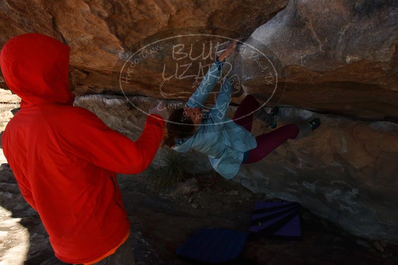Bouldering in Hueco Tanks on 01/08/2020 with Blue Lizard Climbing and Yoga

Filename: SRM_20200108_1338130.jpg
Aperture: f/8.0
Shutter Speed: 1/500
Body: Canon EOS-1D Mark II
Lens: Canon EF 16-35mm f/2.8 L