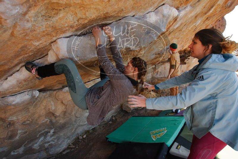 Bouldering in Hueco Tanks on 01/08/2020 with Blue Lizard Climbing and Yoga

Filename: SRM_20200108_1342200.jpg
Aperture: f/5.0
Shutter Speed: 1/400
Body: Canon EOS-1D Mark II
Lens: Canon EF 16-35mm f/2.8 L