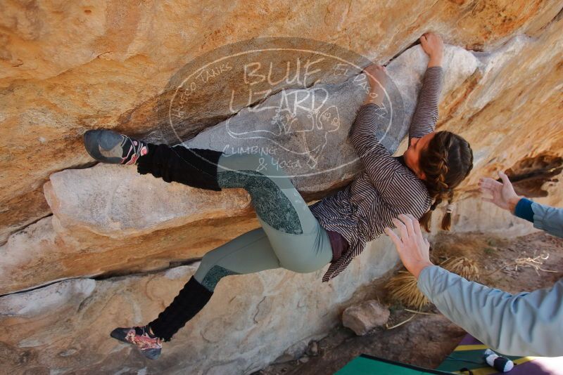 Bouldering in Hueco Tanks on 01/08/2020 with Blue Lizard Climbing and Yoga

Filename: SRM_20200108_1342400.jpg
Aperture: f/5.0
Shutter Speed: 1/400
Body: Canon EOS-1D Mark II
Lens: Canon EF 16-35mm f/2.8 L