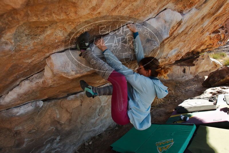 Bouldering in Hueco Tanks on 01/08/2020 with Blue Lizard Climbing and Yoga

Filename: SRM_20200108_1343390.jpg
Aperture: f/6.3
Shutter Speed: 1/400
Body: Canon EOS-1D Mark II
Lens: Canon EF 16-35mm f/2.8 L