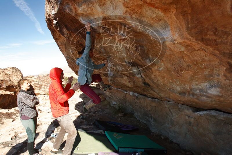 Bouldering in Hueco Tanks on 01/08/2020 with Blue Lizard Climbing and Yoga

Filename: SRM_20200108_1344002.jpg
Aperture: f/8.0
Shutter Speed: 1/400
Body: Canon EOS-1D Mark II
Lens: Canon EF 16-35mm f/2.8 L