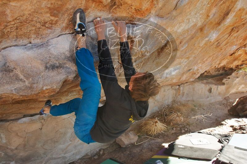 Bouldering in Hueco Tanks on 01/08/2020 with Blue Lizard Climbing and Yoga

Filename: SRM_20200108_1348180.jpg
Aperture: f/5.0
Shutter Speed: 1/400
Body: Canon EOS-1D Mark II
Lens: Canon EF 16-35mm f/2.8 L