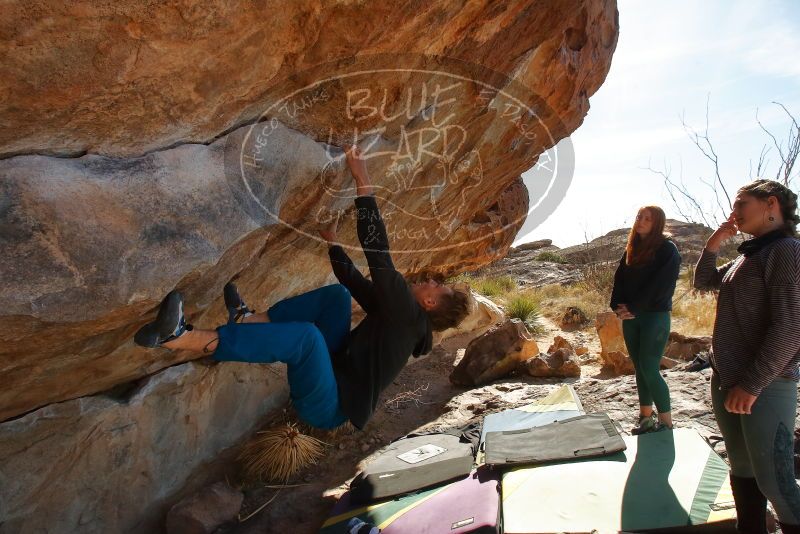Bouldering in Hueco Tanks on 01/08/2020 with Blue Lizard Climbing and Yoga

Filename: SRM_20200108_1348290.jpg
Aperture: f/9.0
Shutter Speed: 1/400
Body: Canon EOS-1D Mark II
Lens: Canon EF 16-35mm f/2.8 L
