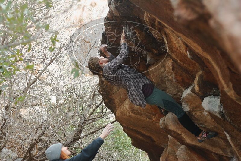 Bouldering in Hueco Tanks on 01/08/2020 with Blue Lizard Climbing and Yoga

Filename: SRM_20200108_1632390.jpg
Aperture: f/3.2
Shutter Speed: 1/250
Body: Canon EOS-1D Mark II
Lens: Canon EF 50mm f/1.8 II