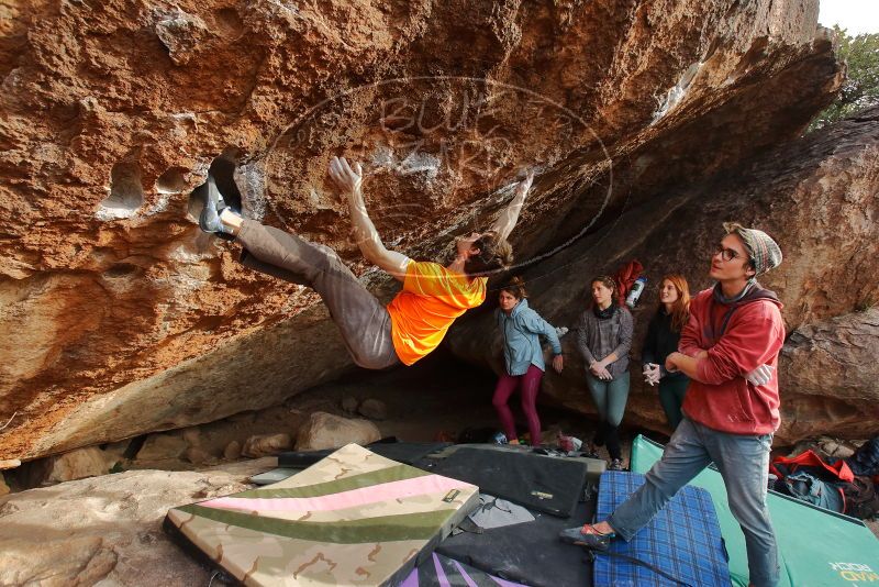 Bouldering in Hueco Tanks on 01/08/2020 with Blue Lizard Climbing and Yoga

Filename: SRM_20200108_1700520.jpg
Aperture: f/5.6
Shutter Speed: 1/320
Body: Canon EOS-1D Mark II
Lens: Canon EF 16-35mm f/2.8 L