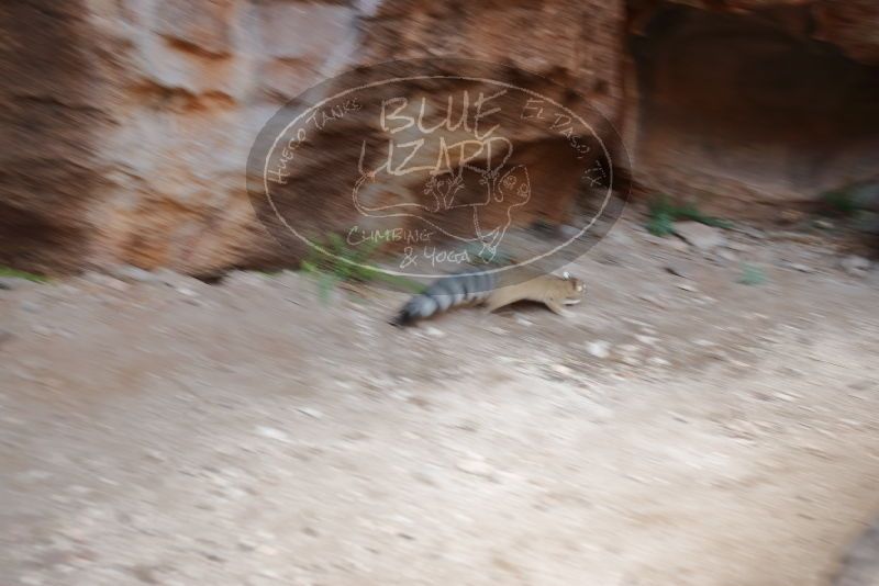 Bouldering in Hueco Tanks on 01/08/2020 with Blue Lizard Climbing and Yoga

Filename: SRM_20200108_1800240.jpg
Aperture: f/2.8
Shutter Speed: 1/25
Body: Canon EOS-1D Mark II
Lens: Canon EF 16-35mm f/2.8 L