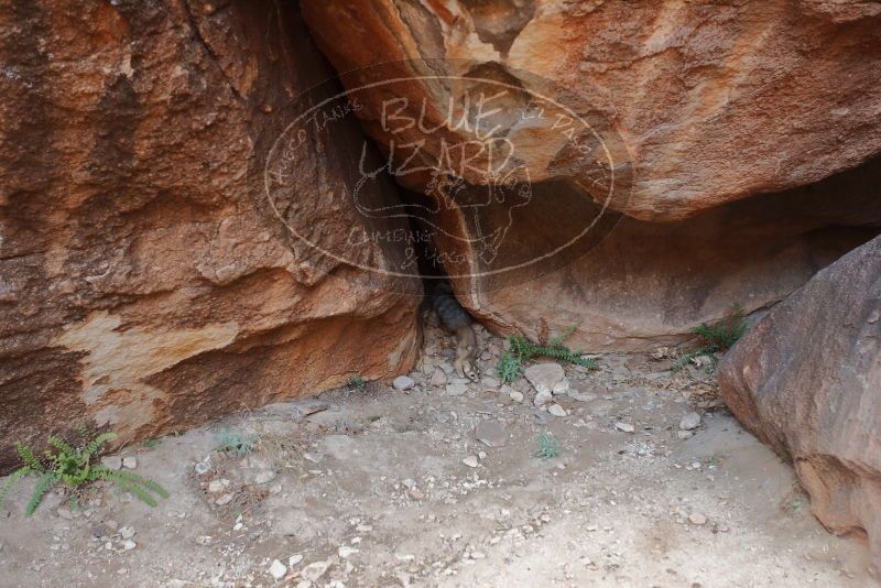 Bouldering in Hueco Tanks on 01/08/2020 with Blue Lizard Climbing and Yoga

Filename: SRM_20200108_1800370.jpg
Aperture: f/2.8
Shutter Speed: 1/80
Body: Canon EOS-1D Mark II
Lens: Canon EF 16-35mm f/2.8 L