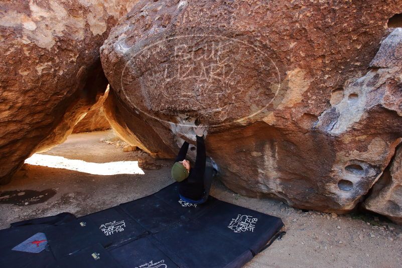 Bouldering in Hueco Tanks on 01/12/2020 with Blue Lizard Climbing and Yoga

Filename: SRM_20200112_1136460.jpg
Aperture: f/5.0
Shutter Speed: 1/250
Body: Canon EOS-1D Mark II
Lens: Canon EF 16-35mm f/2.8 L