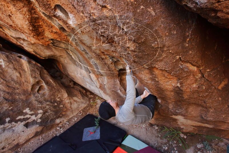 Bouldering in Hueco Tanks on 01/12/2020 with Blue Lizard Climbing and Yoga

Filename: SRM_20200112_1152000.jpg
Aperture: f/4.5
Shutter Speed: 1/250
Body: Canon EOS-1D Mark II
Lens: Canon EF 16-35mm f/2.8 L