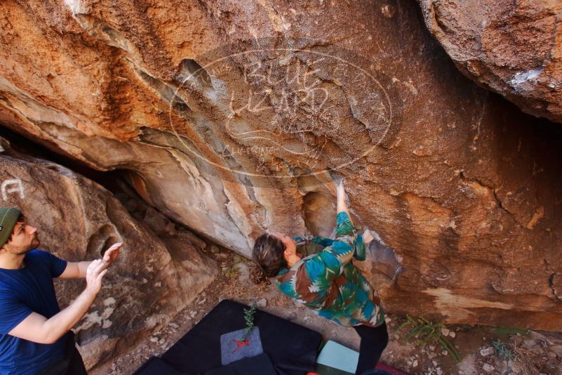 Bouldering in Hueco Tanks on 01/12/2020 with Blue Lizard Climbing and Yoga

Filename: SRM_20200112_1158200.jpg
Aperture: f/4.5
Shutter Speed: 1/250
Body: Canon EOS-1D Mark II
Lens: Canon EF 16-35mm f/2.8 L