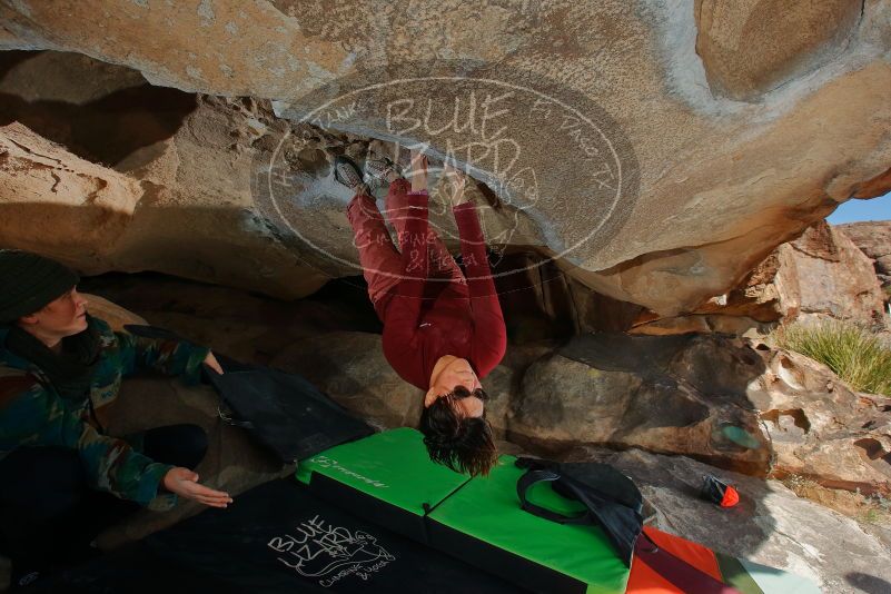 Bouldering in Hueco Tanks on 01/12/2020 with Blue Lizard Climbing and Yoga

Filename: SRM_20200112_1418240.jpg
Aperture: f/8.0
Shutter Speed: 1/250
Body: Canon EOS-1D Mark II
Lens: Canon EF 16-35mm f/2.8 L