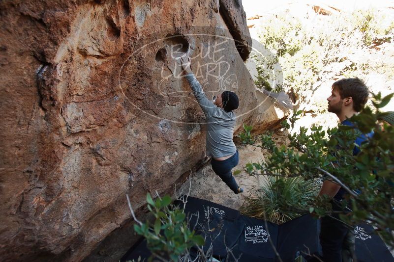 Bouldering in Hueco Tanks on 01/12/2020 with Blue Lizard Climbing and Yoga

Filename: SRM_20200112_1539490.jpg
Aperture: f/4.5
Shutter Speed: 1/250
Body: Canon EOS-1D Mark II
Lens: Canon EF 16-35mm f/2.8 L