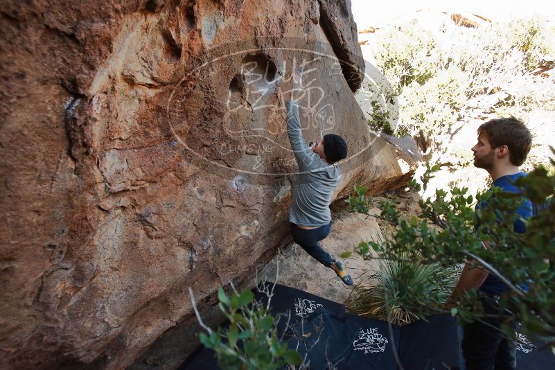 Bouldering in Hueco Tanks on 01/12/2020 with Blue Lizard Climbing and Yoga

Filename: SRM_20200112_1541040.jpg
Aperture: f/4.5
Shutter Speed: 1/250
Body: Canon EOS-1D Mark II
Lens: Canon EF 16-35mm f/2.8 L
