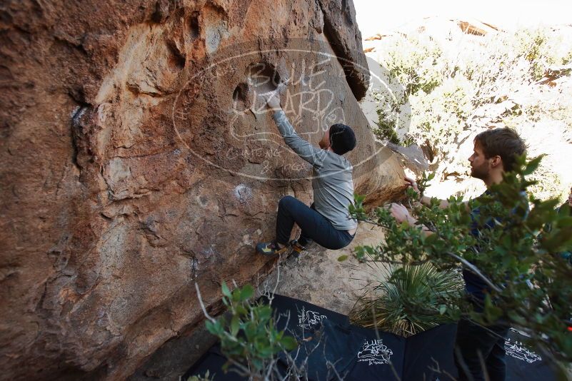 Bouldering in Hueco Tanks on 01/12/2020 with Blue Lizard Climbing and Yoga

Filename: SRM_20200112_1541070.jpg
Aperture: f/4.5
Shutter Speed: 1/250
Body: Canon EOS-1D Mark II
Lens: Canon EF 16-35mm f/2.8 L