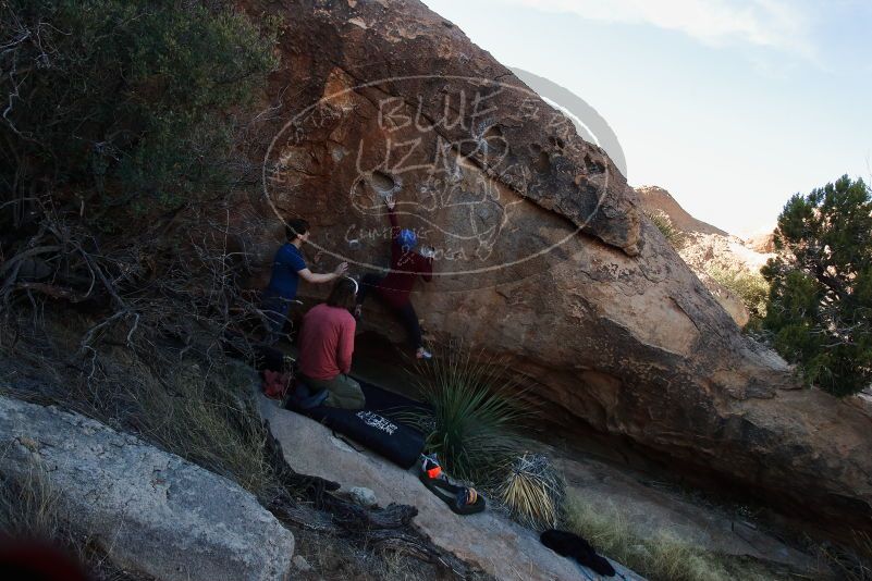 Bouldering in Hueco Tanks on 01/12/2020 with Blue Lizard Climbing and Yoga

Filename: SRM_20200112_1624100.jpg
Aperture: f/8.0
Shutter Speed: 1/250
Body: Canon EOS-1D Mark II
Lens: Canon EF 16-35mm f/2.8 L
