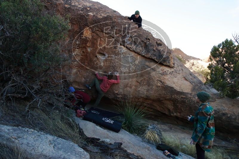 Bouldering in Hueco Tanks on 01/12/2020 with Blue Lizard Climbing and Yoga

Filename: SRM_20200112_1631200.jpg
Aperture: f/8.0
Shutter Speed: 1/250
Body: Canon EOS-1D Mark II
Lens: Canon EF 16-35mm f/2.8 L