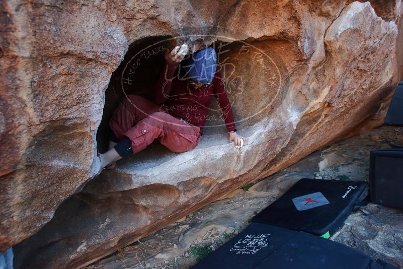 Bouldering in Hueco Tanks on 01/12/2020 with Blue Lizard Climbing and Yoga

Filename: SRM_20200112_1708560.jpg
Aperture: f/4.5
Shutter Speed: 1/250
Body: Canon EOS-1D Mark II
Lens: Canon EF 16-35mm f/2.8 L