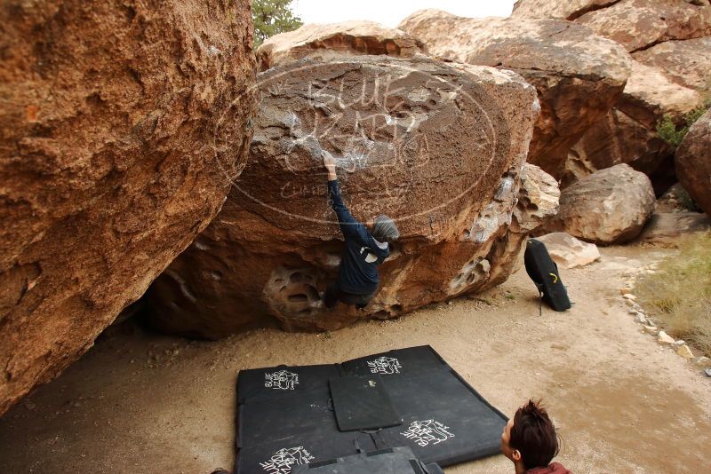 Bouldering in Hueco Tanks on 01/16/2020 with Blue Lizard Climbing and Yoga

Filename: SRM_20200116_1028070.jpg
Aperture: f/5.0
Shutter Speed: 1/320
Body: Canon EOS-1D Mark II
Lens: Canon EF 16-35mm f/2.8 L