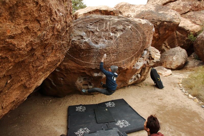 Bouldering in Hueco Tanks on 01/16/2020 with Blue Lizard Climbing and Yoga

Filename: SRM_20200116_1028080.jpg
Aperture: f/5.0
Shutter Speed: 1/320
Body: Canon EOS-1D Mark II
Lens: Canon EF 16-35mm f/2.8 L