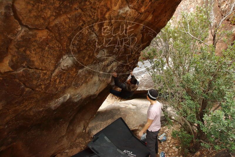 Bouldering in Hueco Tanks on 01/16/2020 with Blue Lizard Climbing and Yoga

Filename: SRM_20200116_1051260.jpg
Aperture: f/5.0
Shutter Speed: 1/250
Body: Canon EOS-1D Mark II
Lens: Canon EF 16-35mm f/2.8 L