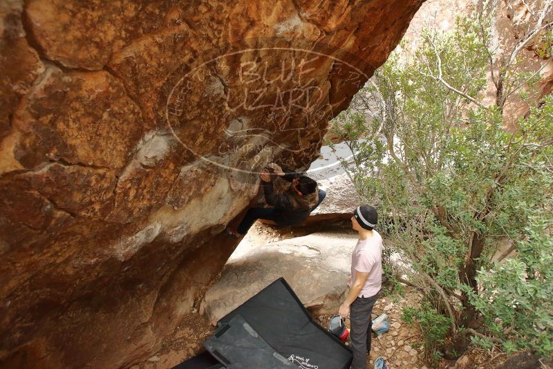 Bouldering in Hueco Tanks on 01/16/2020 with Blue Lizard Climbing and Yoga

Filename: SRM_20200116_1051300.jpg
Aperture: f/4.5
Shutter Speed: 1/250
Body: Canon EOS-1D Mark II
Lens: Canon EF 16-35mm f/2.8 L