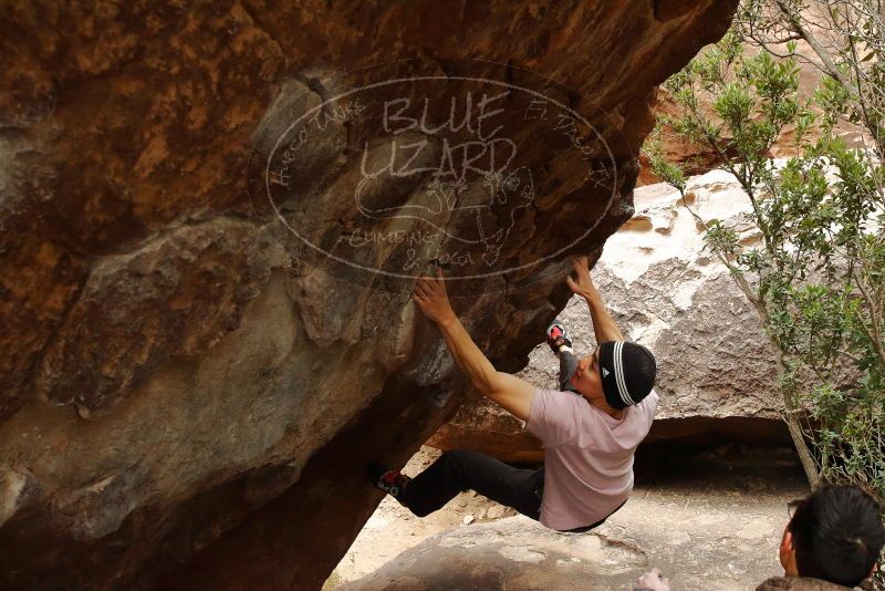 Bouldering in Hueco Tanks on 01/16/2020 with Blue Lizard Climbing and Yoga

Filename: SRM_20200116_1053420.jpg
Aperture: f/6.3
Shutter Speed: 1/250
Body: Canon EOS-1D Mark II
Lens: Canon EF 16-35mm f/2.8 L